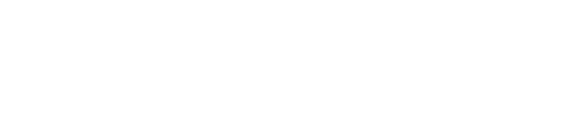 Bespoke Minibus logo